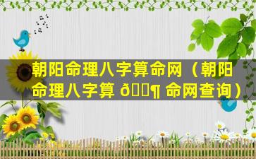 朝阳命理八字算命网（朝阳命理八字算 🐶 命网查询）